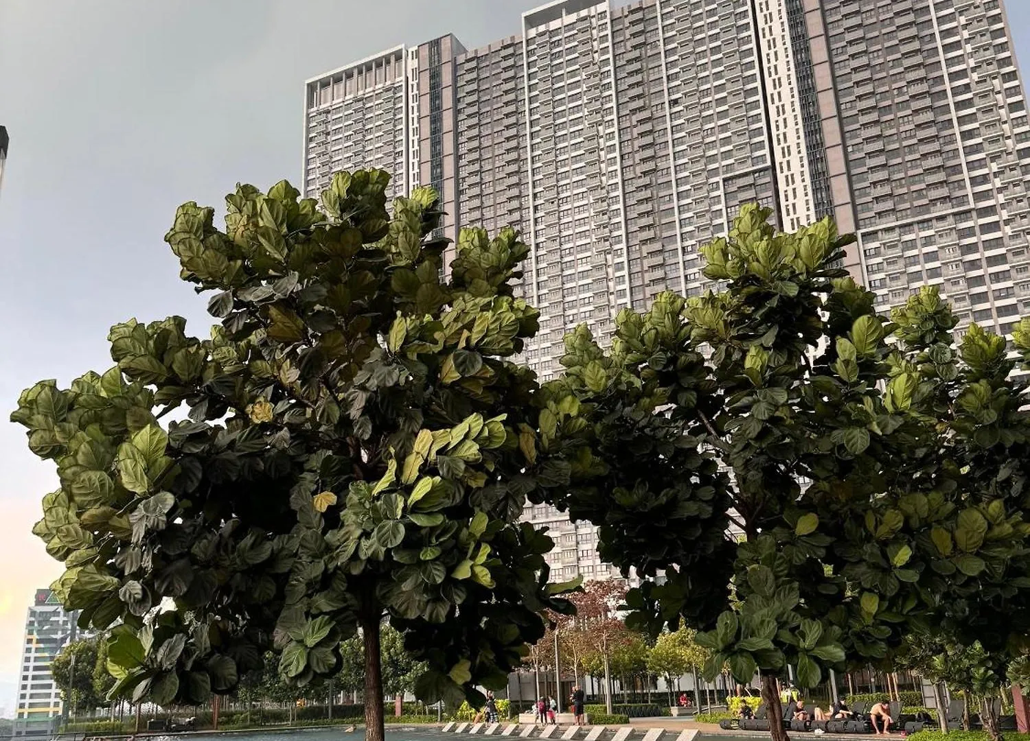 Roombnb Mvertica Kuala Lumpur Malaisie